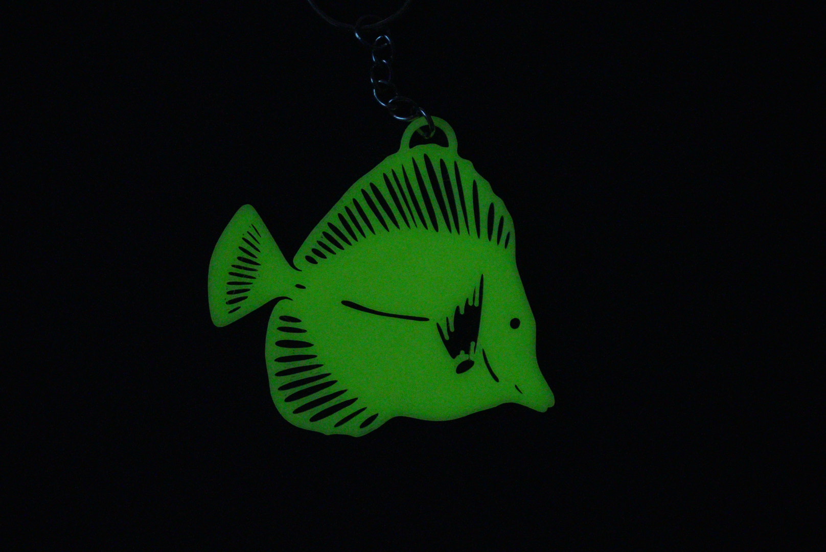 yello tang key chain